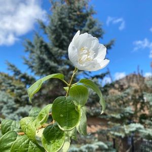 Meet your Posher, Alena